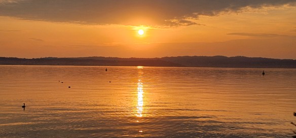 Bild "Home:Titelbild_ADBE.jpg"